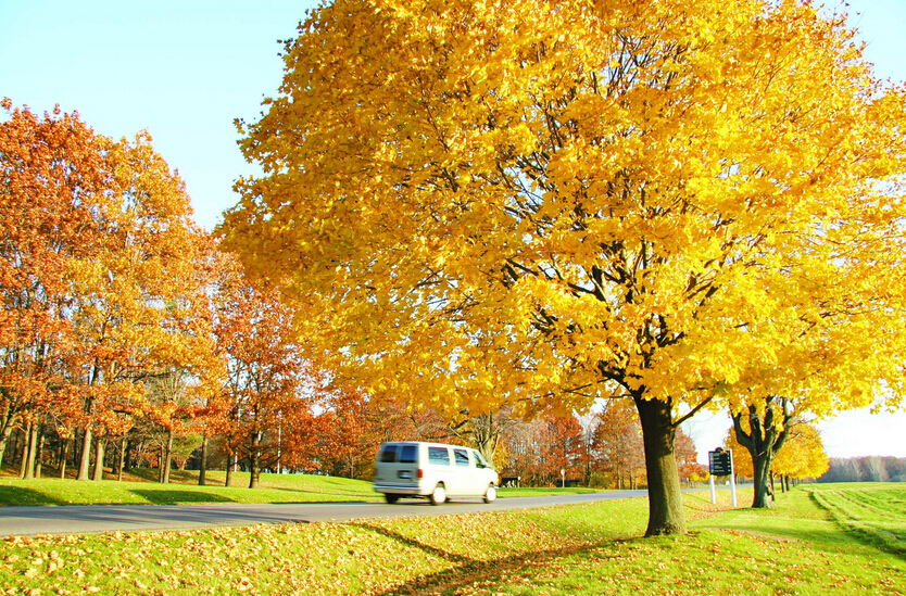 加拿大人的生活方式,加拿大留学,加拿大留学中