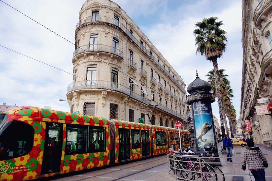 蒙彼利埃大学,排名,入学要求,申请条件,学校简介