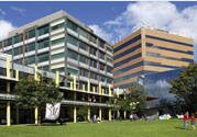 莫纳什大学