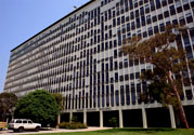 莫纳什大学